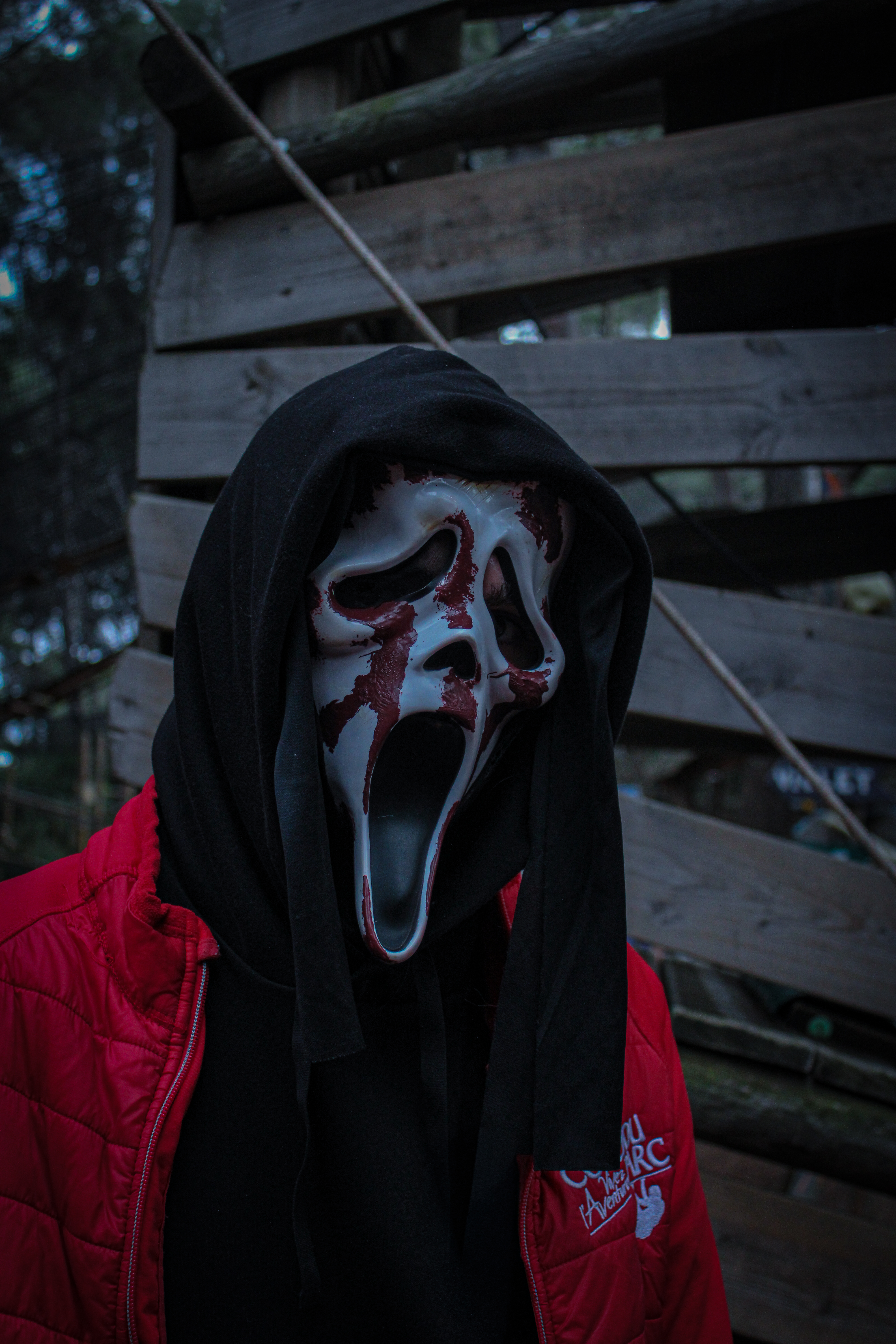 Animation stand photographie Coudou Parc - photo 2